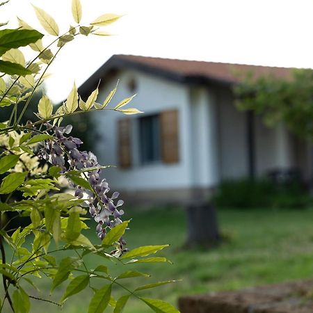 B&B La Figuretta Iesi Exterior foto