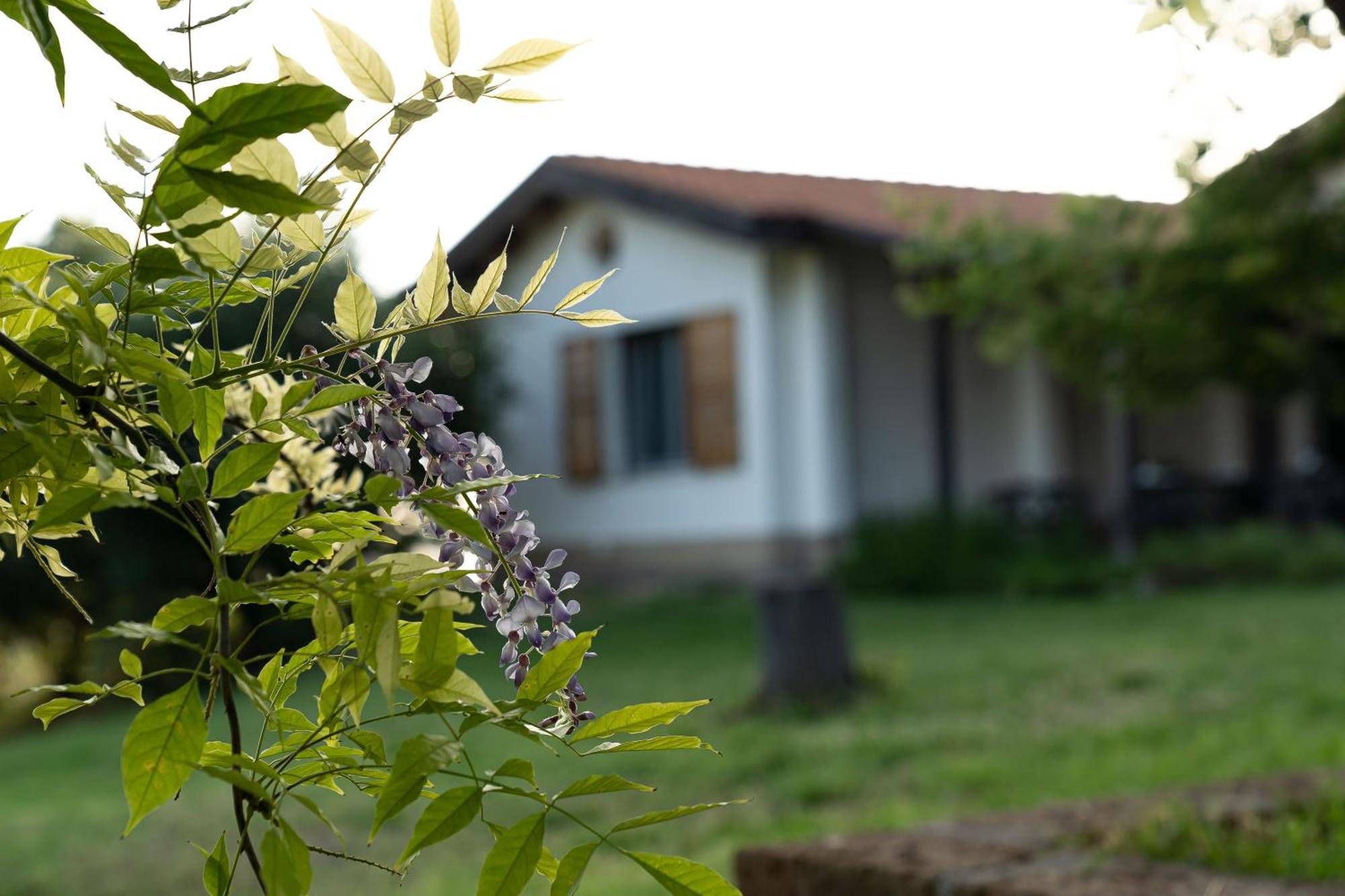 B&B La Figuretta Iesi Exterior foto