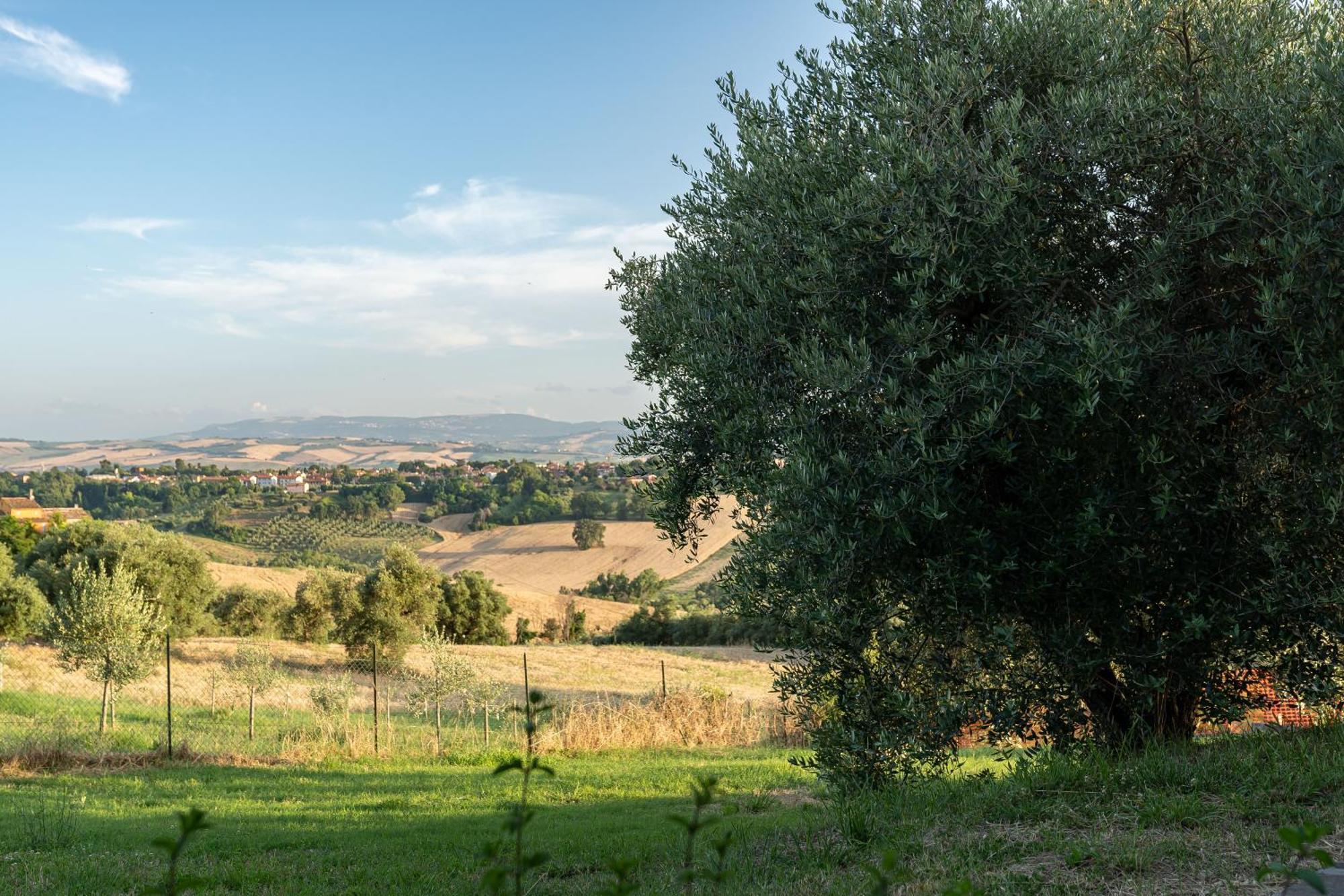 B&B La Figuretta Iesi Exterior foto